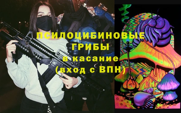 ГАЛЛЮЦИНОГЕННЫЕ ГРИБЫ Лиски